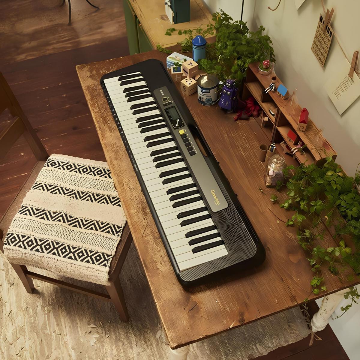 Teclados E Pianos Digitais Casio: Qual linha&nbsp;escolher?