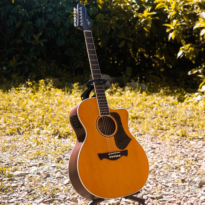 Tagima Rio Negro: Sonoridade Forte E Custo-Benefício&nbsp;Elevado