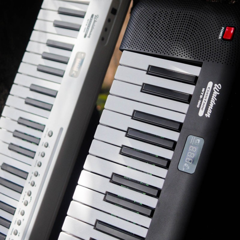 Teclado Musical Barato Para Iniciantes: Conheça O Waldman&nbsp;WTS-100!
