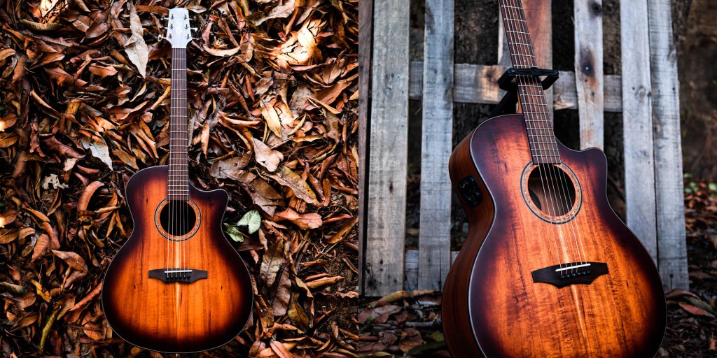 Violão Eletroacústico Seizi Supreme Ryu Mirai em um suporte de chão em um cenário com folhas ao fundo