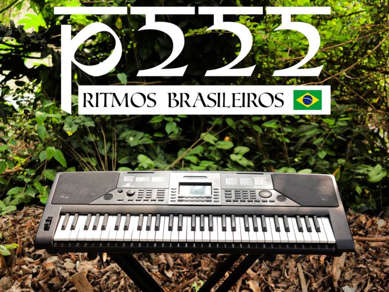 Teclado Musical Pegasus P222: Design Brasileiro e Ritmos que&nbsp;Encantam
