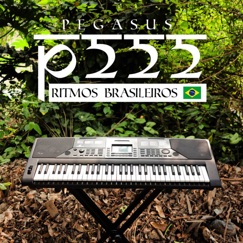 Teclado Musical Pegasus P222: Design Brasileiro e Ritmos que&nbsp;Encantam